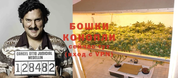 mdpv Заводоуковск