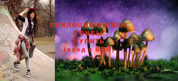 mdpv Заводоуковск