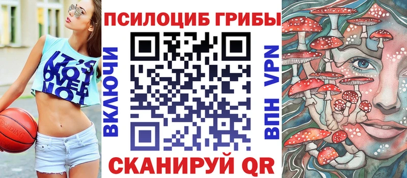 Псилоцибиновые грибы Psilocybe  Купить где  Данков 